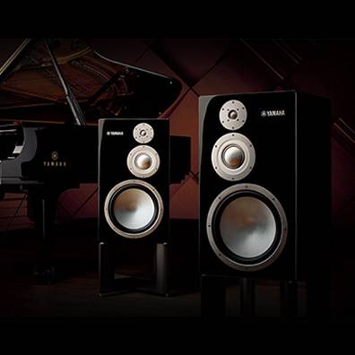 NS-5000旗艦書架音箱